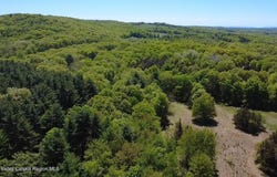 Tbd Cold Spring Road, Milan, NY 12571