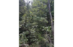 Stewart Road, Henderson, TN 38340