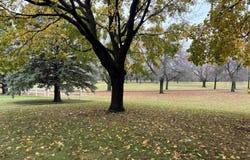 107 Golf Course Dr., Armstrong, IA 50514