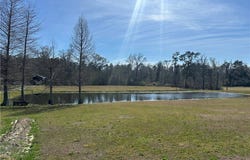 29752 Clinton Threeton Dr, Albany, LA 70711