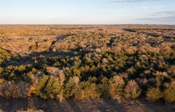 0000 Tbd 21+/- Ac Grassyville RD, Paige, TX 78659