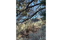 26710 Stirrup Way, Tehachapi, CA 93561