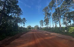 lot 293 TIMBERLINE DR, Hillister, TX 77624