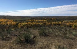 Tr 8 Stanley River Tracts, White River, SD 57579
