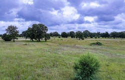 Lot 2  Feder Way, West Point, TX 78963