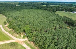 Parcel C J Runnels Rd, Petal, MS 39465