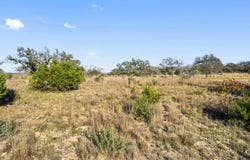 Tbd Lot Axis Cir, Fredericksburg, TX 78624