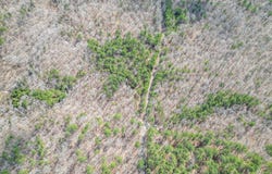 CR 277, OXFORD, MS 38655