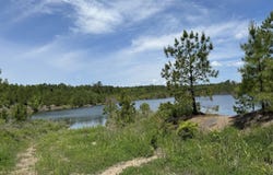 US-11, York, AL 36925