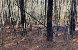 00 NC Highway 134 N, Star, NC 27356