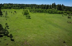 Highway 85, Lead, SD 57754