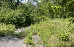 7240 Greene Street, Merrillville, IN 46410