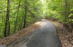 Lot 118 Croft Mtn, Blairsville, GA 30512