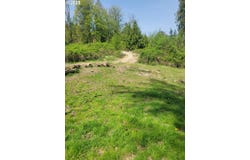 Nicolai cutoff rd, Rainier, OR 97048