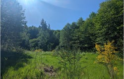 0000 Parcel 0706340003030, Cougar, WA 98616