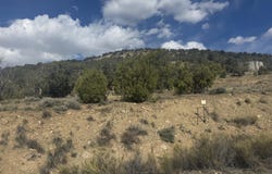 262 Stephens Drive, Dotsero, CO 81637