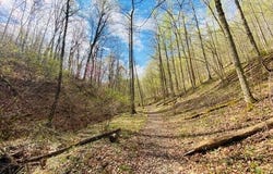 23584 Conrad Road, South Bloomingville, OH 43152