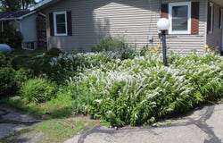 N8238 Stoney Point Road, Beaver Dam, WI 53916