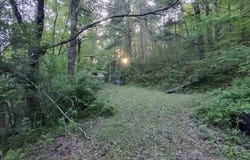217 Coal Chute Road, Elizabethton, TN 37643