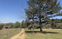 6104 Moore Lane, Smithdale, MS 39664