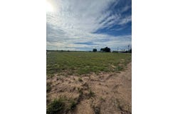 #15 Quail, Logan, NM 88426