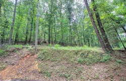 0 Apple Road, Ranger, GA 30734