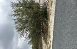 226 Roy Nichols, Blanco, TX 78606