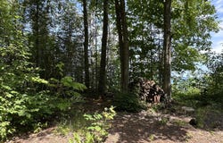 LOT 9 W US 23 HIGHWAY, CHEBOYGAN, MI 49721