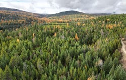 TBD SCHLEGEL RANCH LOT 12 RD, IONE, WA 99139