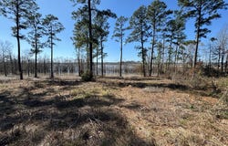 FM 83 lot: 004, Broaddus, TX 75929
