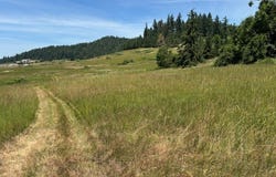 N Morningstar Road, Pleasant Hill, OR 97455