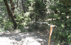0 Forest Lane, Twin Peaks, CA 92391