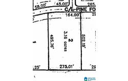 PINE FOREST LANE, WEST BLOCTON, AL 35184