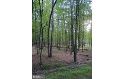 0 CHESTNUT DRIVE, HAZLETON, PA 18202