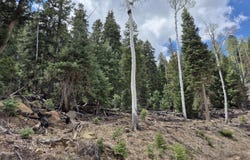 Bonnie Green DR, Duck Creek, UT 84762
