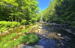 Temple Road lot: 67-C, Temple, ME 04984