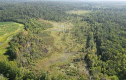 TEAGUE Rd, Medon, TN 38356