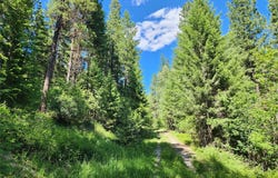 NHN Silver Butte Road, Libby, MT 59923