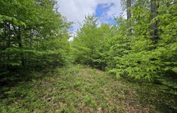 Staples Pond Road lot: 10C, Temple, ME 04984
