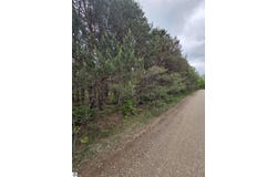 County Line Road, Kingsley, MI 49649