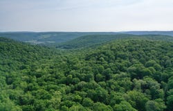000 Canada Hollow Road, Millport, PA 16748