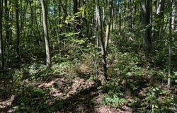 Lt0 312th Ave, Kansasville, WI 53139