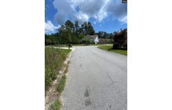 84 Dogwood Cottage Court, Blythewood, SC 29016