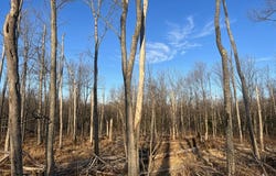 3350 Falstaff Drive, Tobyhanna, PA 18466
