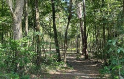 SE 130TH STREET, BELLEVIEW, FL 34420