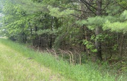 S Poor Farm Rd., Harrisville, MI 48740