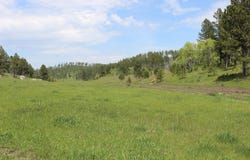 65.49 acres Custer Limestone Road, Custer, SD 57730