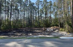 243 GEORGETOWN DENVER Road, Georgetown, FL 32139
