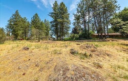 Xxx S Clear Lake Rd, Medical Lake, WA 99022