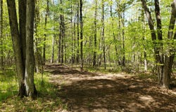 1 French Road, Pembine, WI 54156